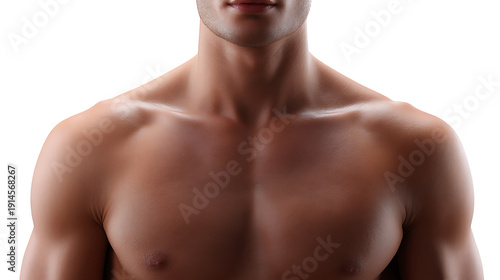 A detailed closeup of a muscular man's bare chest, shoulders and neck