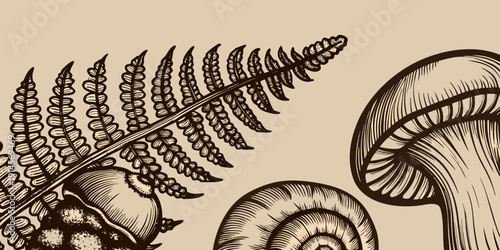 Detailed botanical illustration featuring ferns mushrooms and snails