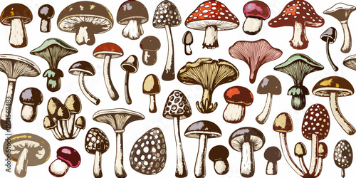 A vibrant collection of illustrated mushrooms in various shapes and colors