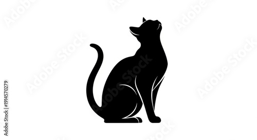 Silhouette of a black cat looking upwards with its tail curled.