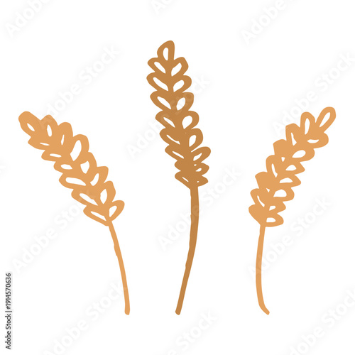 Set of hand drawn cereal wheat oat rye barley rice ears spikelet clipart Organic wheat bread agriculture farming harvest healthy food Single element for design print packaging label decor