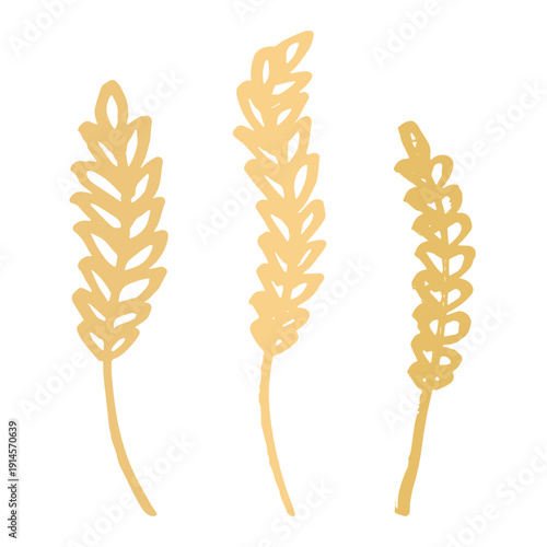 Set of hand drawn cereal wheat oat rye barley rice ears spikelet clipart Organic wheat bread agriculture farming harvest healthy food Single element for design print packaging label decor