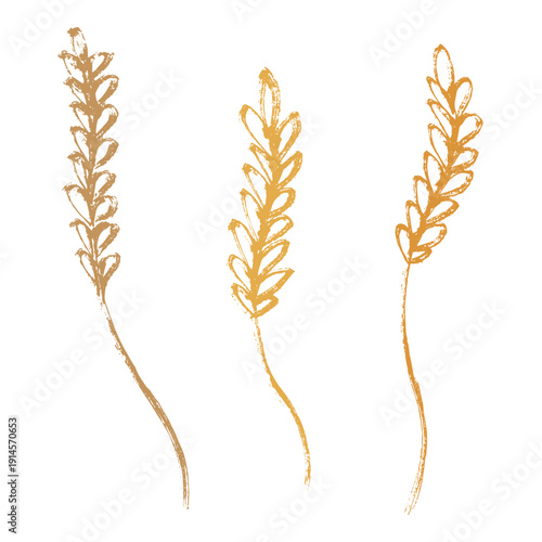 Set of hand drawn cereal wheat oat rye barley rice ears spikelet clipart Organic wheat bread agriculture farming harvest healthy food Single element for design print packaging label decor