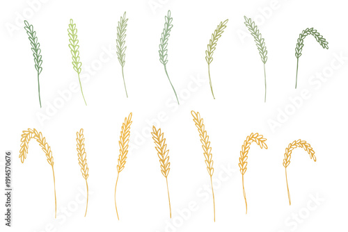 Set of hand drawn cereal wheat oat rye barley rice ears spikelet clipart Organic wheat bread agriculture farming harvest healthy food Single element for design print packaging label decor