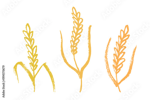 Set of hand drawn cereal wheat oat rye barley rice ears spikelet clipart Organic wheat bread agriculture farming harvest healthy food Single element for design print packaging label decor