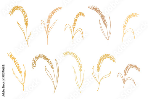 Set of hand drawn cereal wheat oat rye barley rice ears spikelet clipart Organic wheat bread agriculture farming harvest healthy food Single element for design print packaging label decor