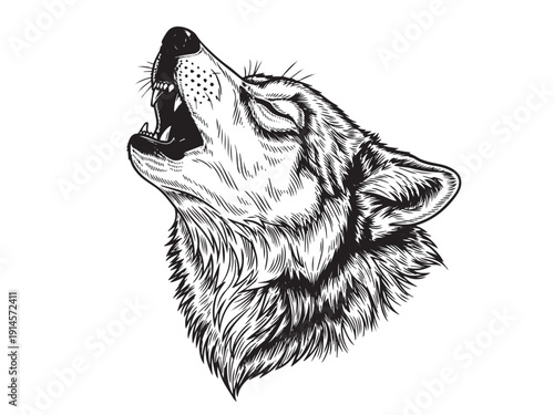 Howling wolf head engraving tattoo illustration