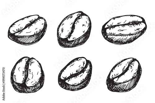 Set of hand drawn fresh roasted coffee bean Arabica robusta seed doodle Single element for design print packaging label decor