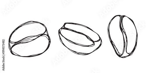 Set of hand drawn fresh roasted coffee bean Arabica robusta seed doodle Single element for design print packaging label decor