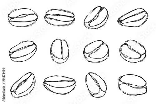 Set of hand drawn fresh roasted coffee bean Arabica robusta seed doodle Single element for design print packaging label decor