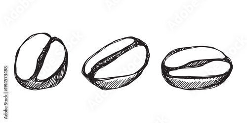 Set of hand drawn fresh roasted coffee bean Arabica robusta seed doodle Single element for design print packaging label decor