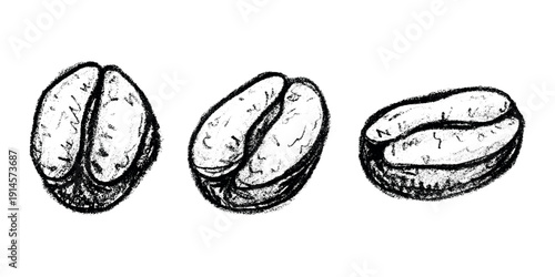 Set of hand drawn fresh roasted coffee bean Arabica robusta seed doodle Single element for design print packaging label decor