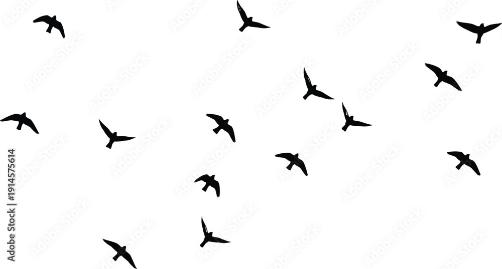 Obraz premium Flying bird silhouette vector illustration, group of fourteen animals in motion, dynamic wing positions, creative wildlife design icon for branding