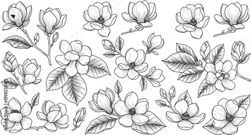 Intricate black and white magnolia flowers illustration, detailed botanical line art drawing, decorative floral vector design with ornate leaves and blossoms