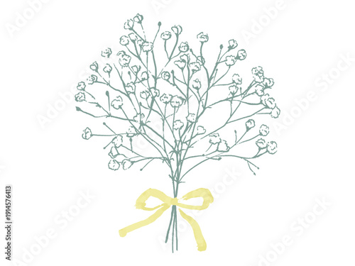 かすみそう　シンプル　かわいい　イラスト