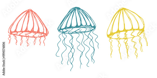 Set of hand drawn jellyfish doodle Sea animal illustration Cute marine underwater creature Medusa sketch clipart Single element for web, design, decor, children's print