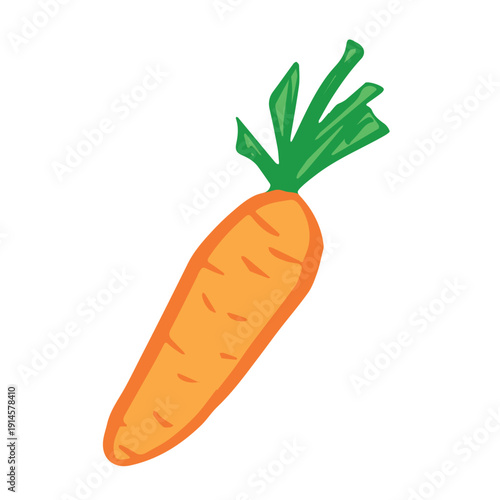 Hand drawn farm carrot plant with green leaves Fresh vegetable doodle Healthy eco food Organic garden vegetarian food For design, print, packaging, decor, kids books, coloring pages