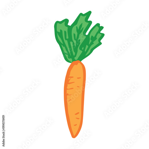 Hand drawn farm carrot plant with green leaves Fresh vegetable doodle Healthy eco food Organic garden vegetarian food For design, print, packaging, decor, kids books