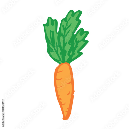 Hand drawn farm carrot plant with green leaves Fresh vegetable doodle Healthy eco food Organic garden vegetarian food For design, print, packaging, decor, kids books