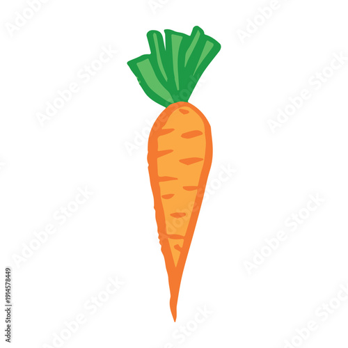Hand drawn farm carrot plant with green leaves Fresh vegetable doodle Healthy eco food Organic garden vegetarian food For design, print, packaging, decor, kids books