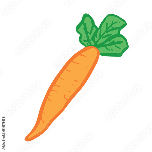 Hand drawn farm carrot plant with green leaves Fresh vegetable doodle Healthy eco food Organic garden vegetarian food For design, print, packaging, decor, kids books