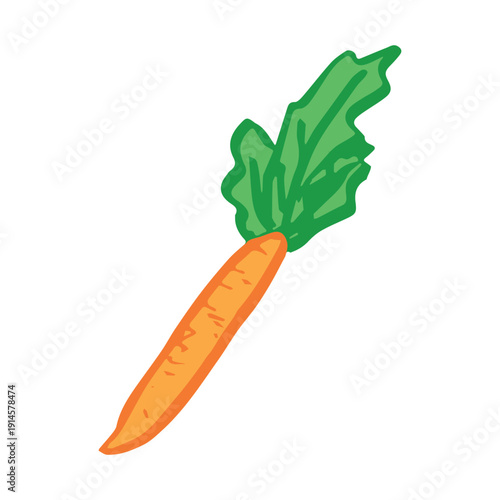 Hand drawn farm carrot plant with green leaves Fresh vegetable doodle Healthy eco food Organic garden vegetarian food For design, print, packaging, decor, kids books