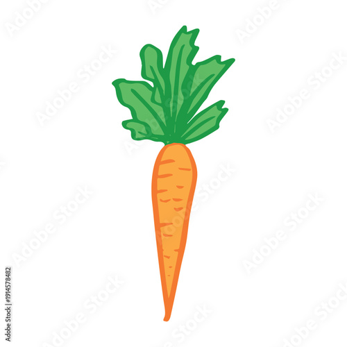 Hand drawn farm carrot plant with green leaves Fresh vegetable doodle Healthy eco food Organic garden vegetarian food For design, print, packaging, decor, kids books
