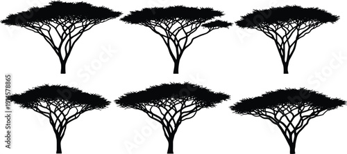 Silhouette vector illustration of acacia trees with distinct flat‑topped canopies, natural outdoor artwork, decorative savanna woodland landscape background design