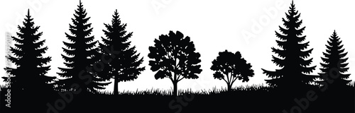 Silhouette vector illustration of diverse forest trees with grass, natural outdoor landscape artwork, decorative woodland background featuring coniferous and deciduous