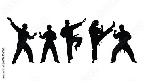Silhouettes of martial artists performing various karate techniques and poses isolated on white background, Vector