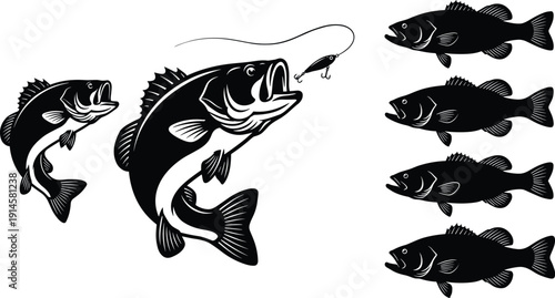 Bass fish silhouette and illustration set featuring jumping largemouth bass chasing lure, cad drawing flat vector illustration, isolated white background.