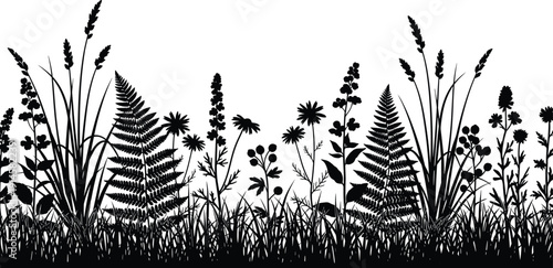 Black silhouette of wild meadow flowers, grass, and fern leaves isolated on white background, nature field vegetation vector illustration for decorative design.
