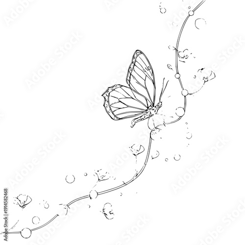 Butterfly on water drops line drawing black and white illustration minimalism