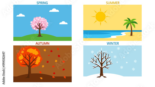 Four Seasons Tree Illustration: Spring, Summer, Autumn, Winter