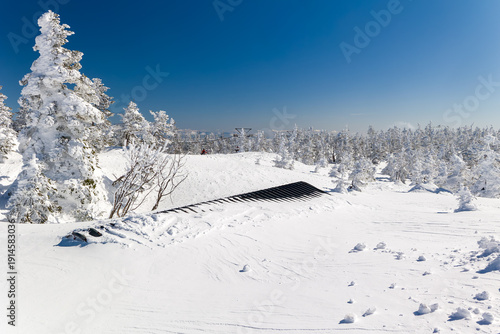 фотографія Heavy winter snow almost completely burying a building roof surrounded by frozen