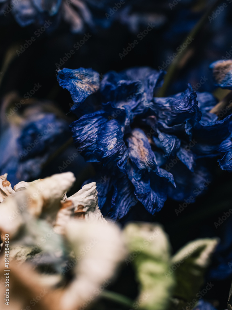 custom made wallpaper toronto digitalWilting flower