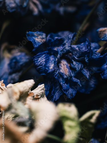 Wallpaper Mural Wilting flower Torontodigital.ca