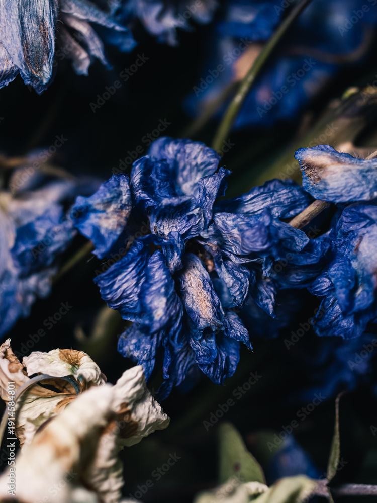 custom made wallpaper toronto digitalWilting flower