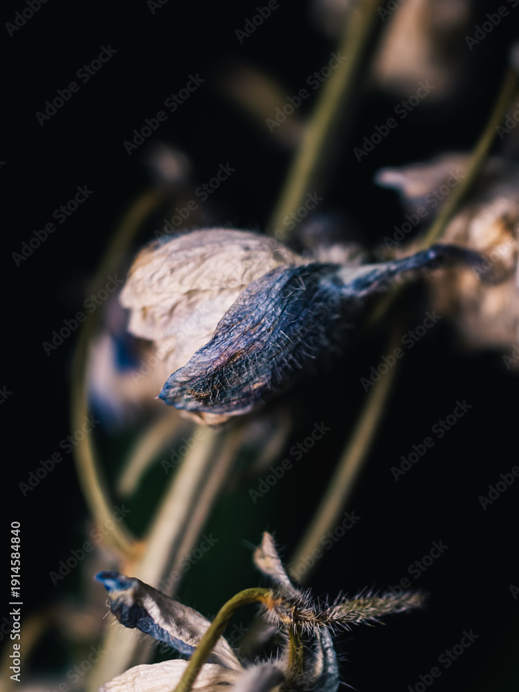 custom made wallpaper toronto digitalWilting flower