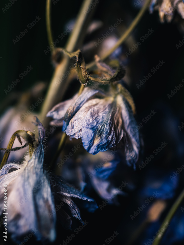 custom made wallpaper toronto digitalWilting flower