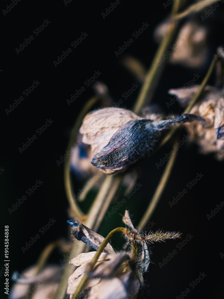 custom made wallpaper toronto digitalWilting flower