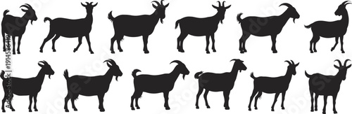 Collection of Goat Silhouettes in Different Standing and Walking Poses Isolated on White Background for Farm Design
