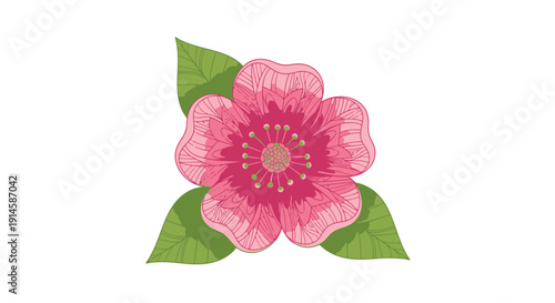 Pink Camellia Flower with Green Leaves against White Background