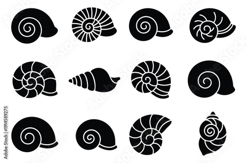 Stylized graphic sea shell set featuring various spiral designs for marine and ocean themes