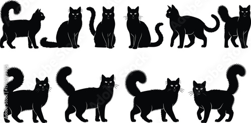 Black cat silhouettes collection in various standing and sitting poses isolated on white background, domestic pet illustration set