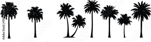 Set of tropical palm tree silhouettes isolated on white background, exotic summer beach landscape design elements for travel and nature illustration