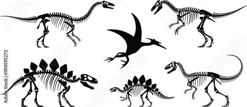 Circular arrangement of dinosaur skeleton illustrations with central flying reptile silhouette, prehistoric creatures educational paleontology concept design