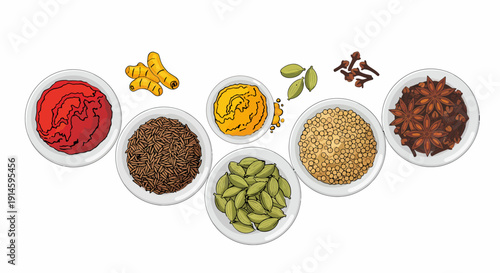 Illustration of Various Traditional Spices and Herbs in Containers.