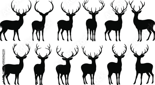 Silhouette collection of deer with antlers, wildlife illustration set showing different antler shapes and postures for identification comparison
