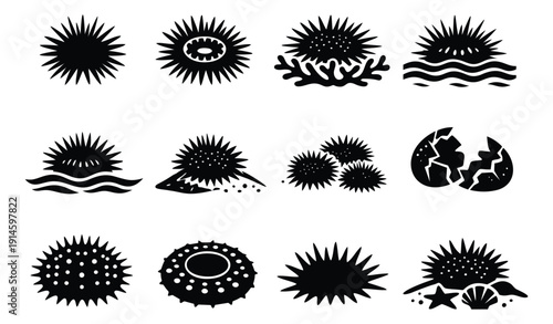 Black silhouette sea urchin set featuring various marine invertebrates and elements for underwater design